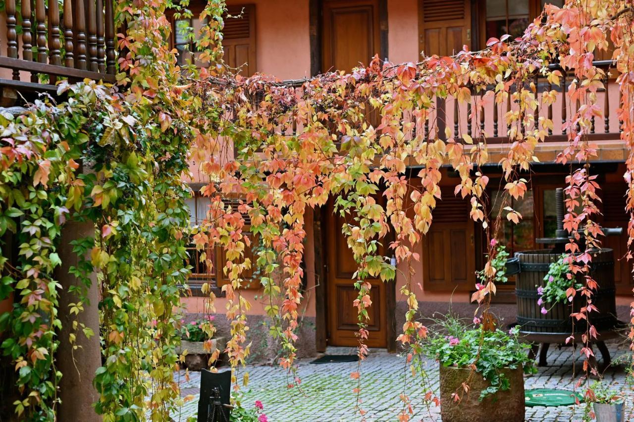 Hotel De L'Ange Niedermorschwihr Esterno foto