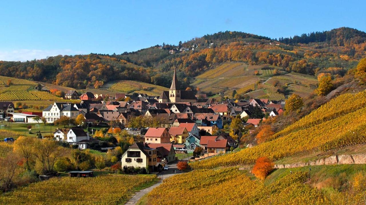 Hotel De L'Ange Niedermorschwihr Esterno foto